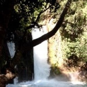 Meet your Posher, Marisa